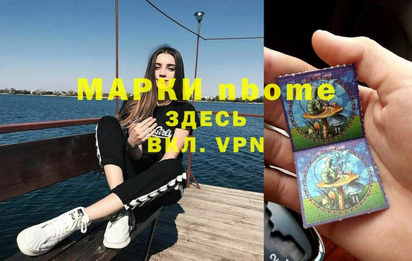 дживик Няндома