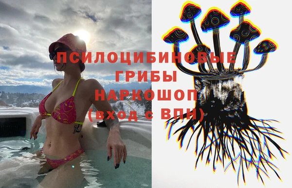 альфа пвп Новокубанск