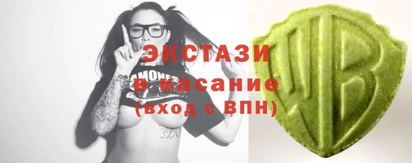дживик Няндома