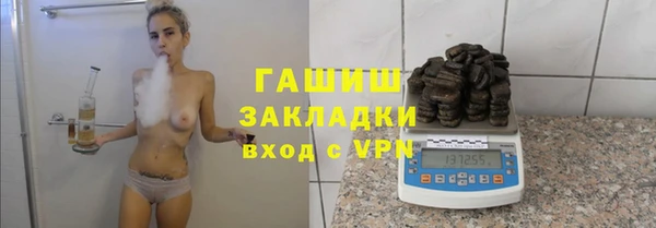 дживик Няндома