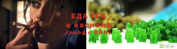 дживик Няндома