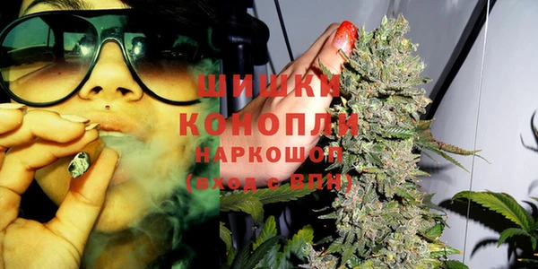 дживик Няндома