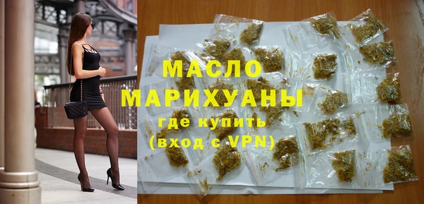 дживик Няндома