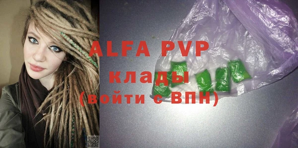 дживик Няндома