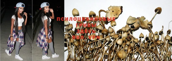 прущая мука Нягань