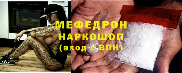 дживик Няндома