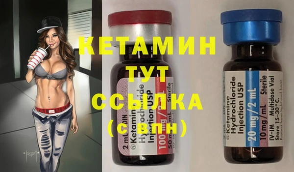 дживик Няндома