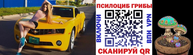 Псилоцибиновые грибы Psilocybine cubensis  Полтавская 